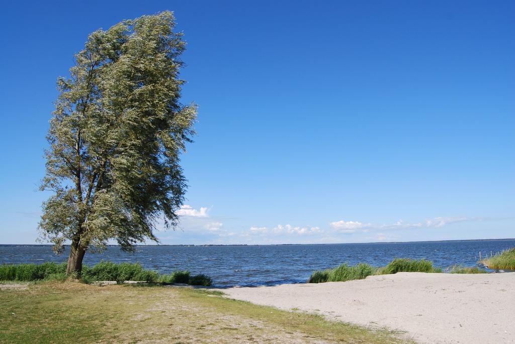 Ferienhaus Mit Garten Am Bodstedter Bodden Extérieur photo